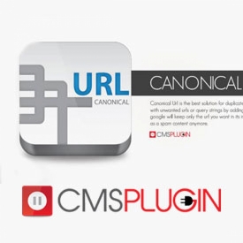 افزونه دستیار سئو برای حل مشکل آدرس های تکراری با Canonical Url